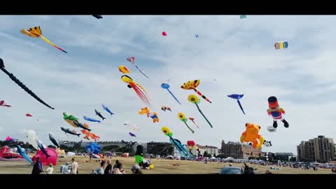 Annual Kite Festival 2022 with Luna 🪁