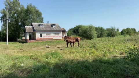 Young Woman Shows How She Lives In Poor District of Belarus