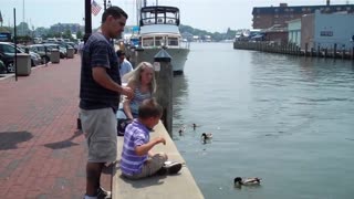 Feeding Ducks in Annapolis, MD