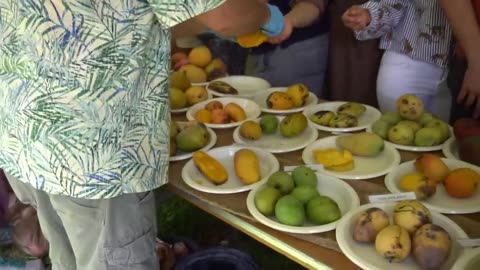 Tropical Fruit Festival |Best Mango | Fruit and Spice Park | Mango Cultivars