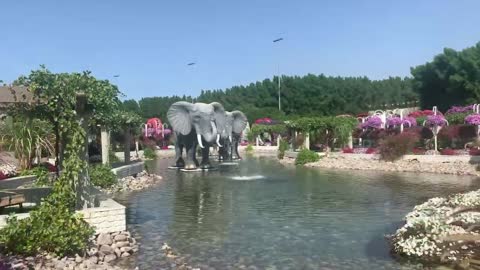 Dubai miracle garden