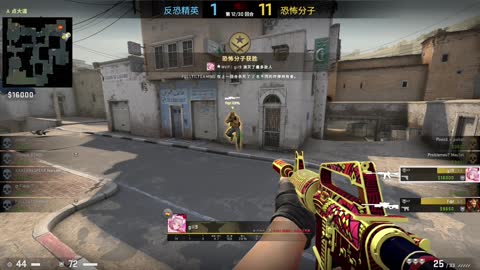 CS:GO II Counter-Strike_ Global Offensive -Killed