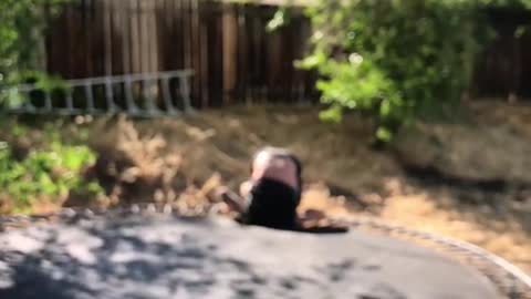 Man back flip on trampoline head stuck in hole
