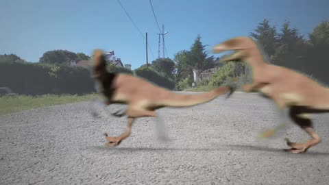 Dinosaur chasing