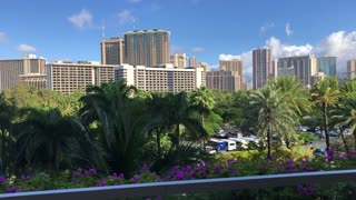 Trump Tower Waikiki morning city view