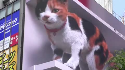 Realistic 3D cat appears on billboard outside Tokyo station