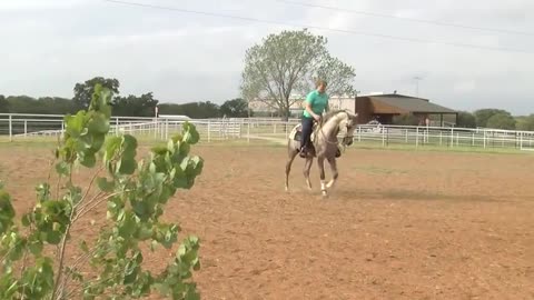 RIDING ARABIAN STALLION.mp4