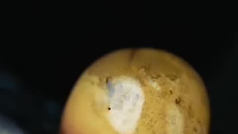 Popcorn in macro and slow motion