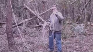 Cutting Down a Tree By Yourself