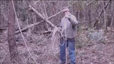 Cutting Down a Tree By Yourself