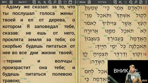 Вникай!.. 009 Быт. 3:14 по 1:31 Фундаментальные различие в том, что Бог сказал змею, Еве и Адаму