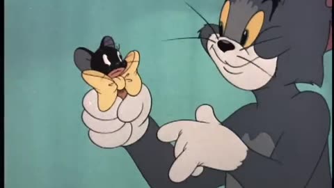 Tom and Jerry - Casanova Cat