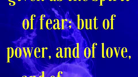 BIBLE VERSE FOR THE DAY... For God hath not given us the spirit of fear; but of power, and of love