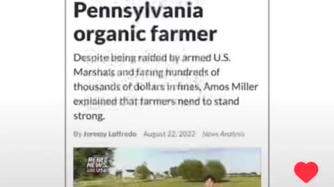 How It Went Down - Amish Farm pt 1