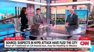 CNN Anchor Left Speechless After Analyst Explains Why Illegal Aliens Don’t Commit Crimes in FL