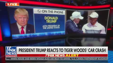 Donald Trump on Tiger Woods
