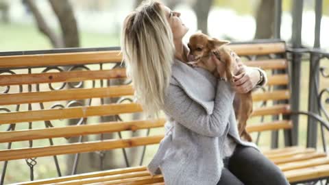 young beautiful Woman in the park with her funny long-haired chihuahua dog. Autumn background