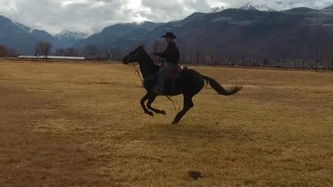 Horse Riding in Slow Motion