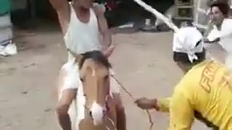 Horse rider fight scene