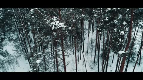 Winter nature short video l Winter cinematic short video