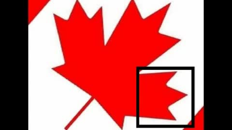 Jesus Truther Episode #95 See Christ's Omnipresent bearded face in Canadian flag
