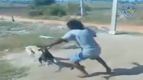 Man chasing dog #2. Defend against dog attack - Funny moments.