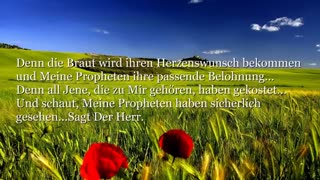 6. WORTE DER WEISHEIT ❤️ Von YahuShua HaMashiach - Jesus Christus ❤️ TROMPETE GOTTES