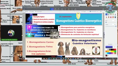 Biomagnetismo Cuántico por la verdad: “Las que tomaron ambas dosis se infectaron y están muriendo”