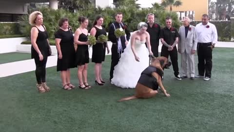 Funniest wedding