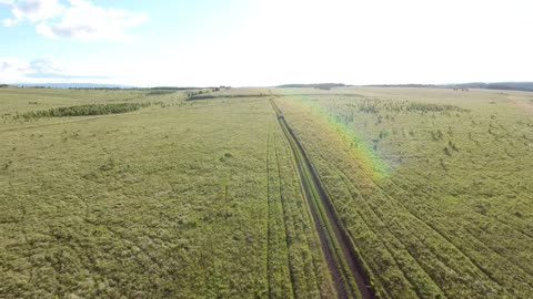 flying a drone through a field