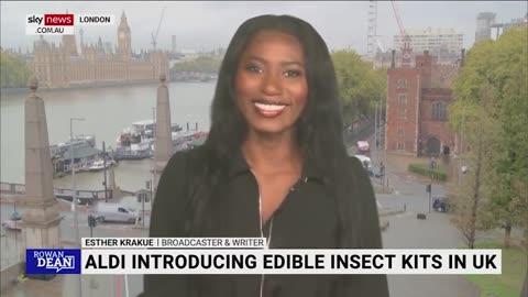 Aldi, the supermarket chain, is considering selling edible insects