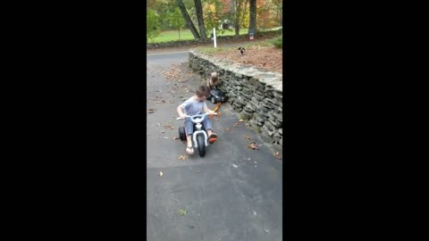 Yorkie gracefully rides toy car while towed by kid on bike on rode