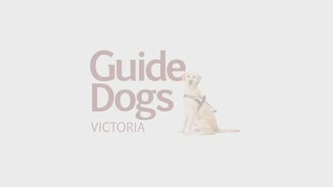 Guide Dogs Graduation Day - Journey of a Guide Dog