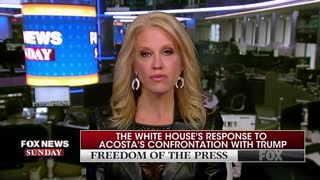 Kellyanne Conway defends White House with Acosta video