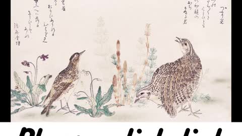 Classic Japanese Art 🐱‍🐉Volume 1: The Best of Utamaro Kitagawa #shorts