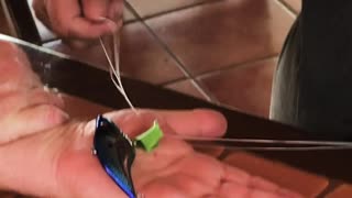 The Best Way to Remove a Fish Hook...