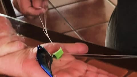 The Best Way to Remove a Fish Hook...
