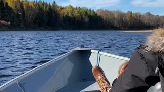 Bald Eagles on the Mississagi River.