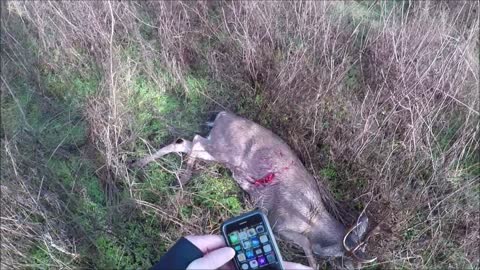 Amazing Footage!! Late Archery Blacktail Buck Bow Kill Western Oregon 2018