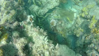 Dry Tortugas - 2017