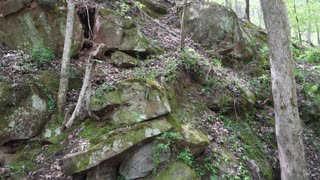 Cahaba River Bluffs Hiking Trails. Brierfield, AL. 4-7-2024.