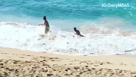 Shirtless man picks up white dog in ocean gets knocked down by wave
