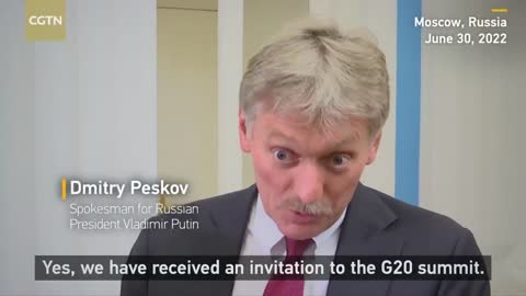 Putin to attend G20 summit: Presidential spokesman