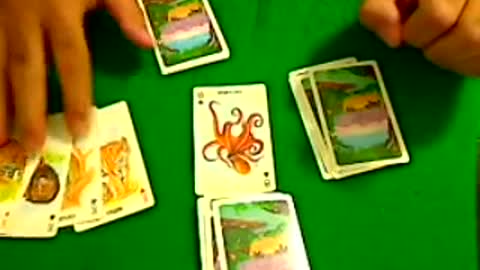 Animal Card Trick for Children. Magic trick.