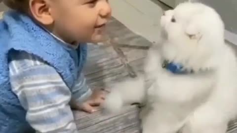 Cute Baby With Cute Pupy