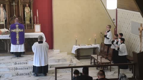 11AM Mass - St. Thomas Becket