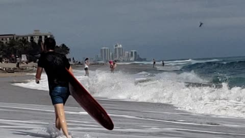 Surfers at Palm Beach