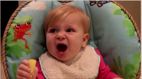 Super Funny Cute Babies Eating Lemon