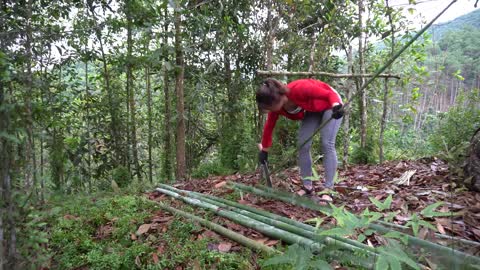 Buiding survival shelter in the forest