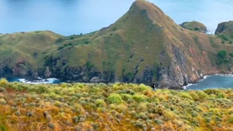 Padar island, Indonesia 🌸🌄🧡💚